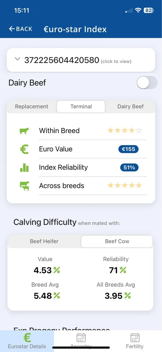 ⭐️Charolais bull ⭐️ - Image 4