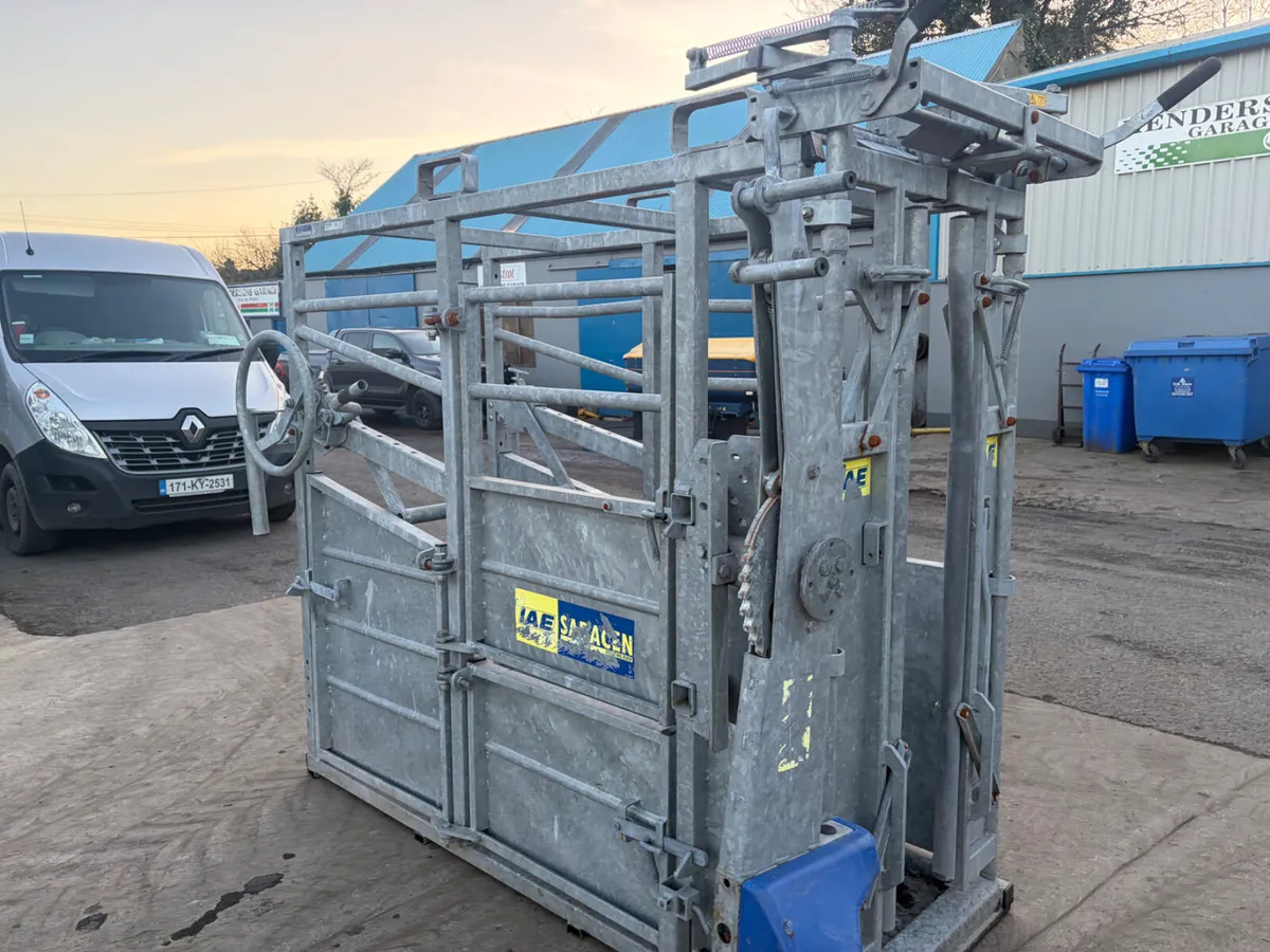 IAE Cattle crush,Head scoop - Image 4