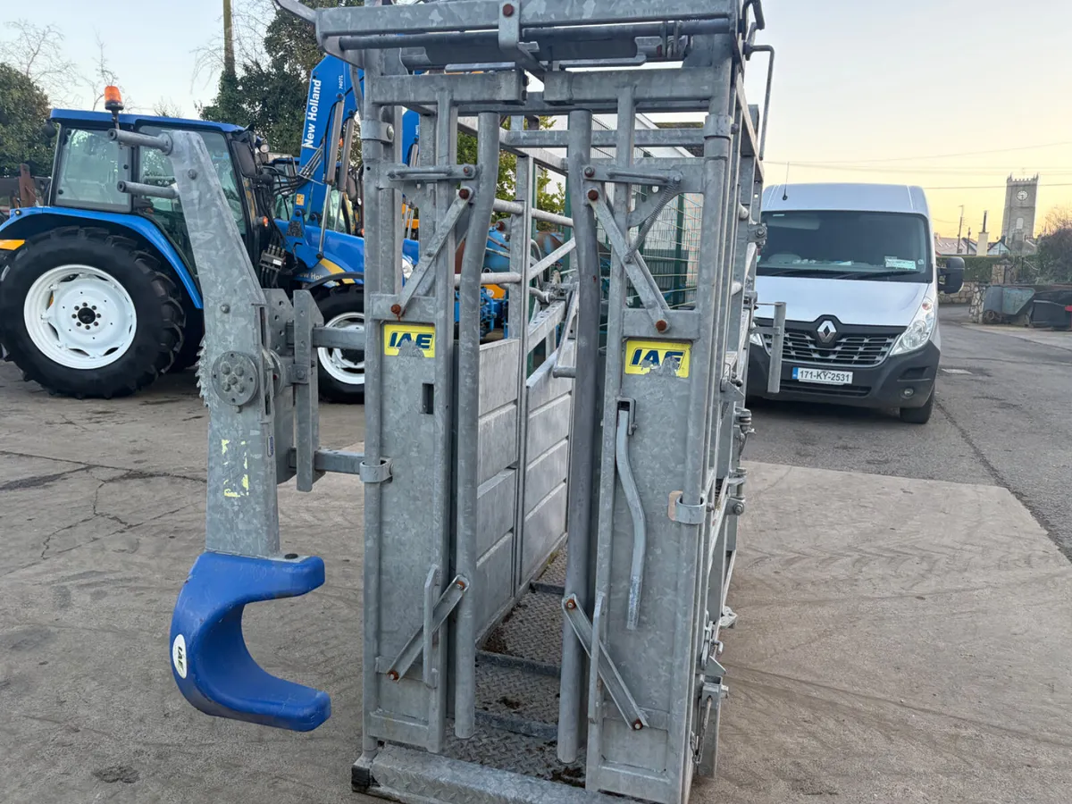 IAE Cattle crush,Head scoop - Image 2