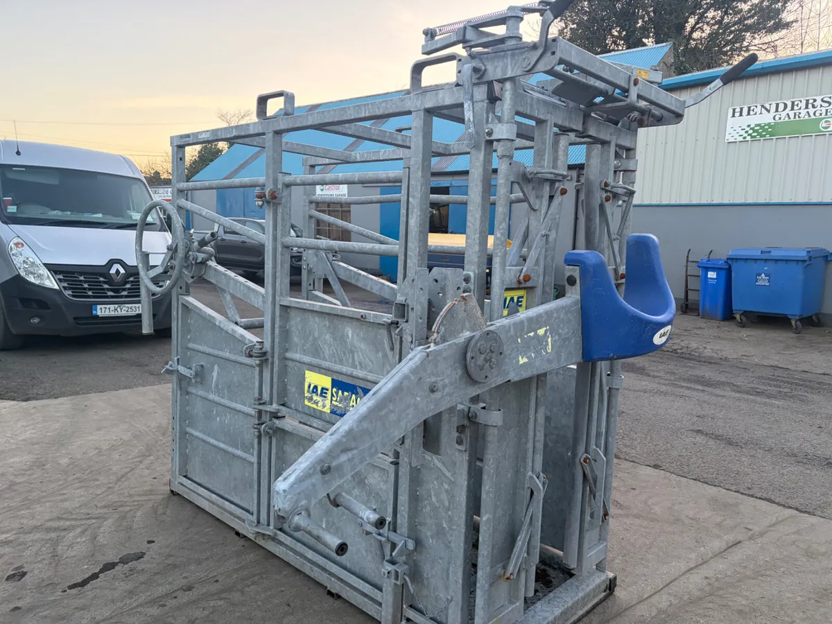 IAE Cattle crush,Head scoop - Image 3