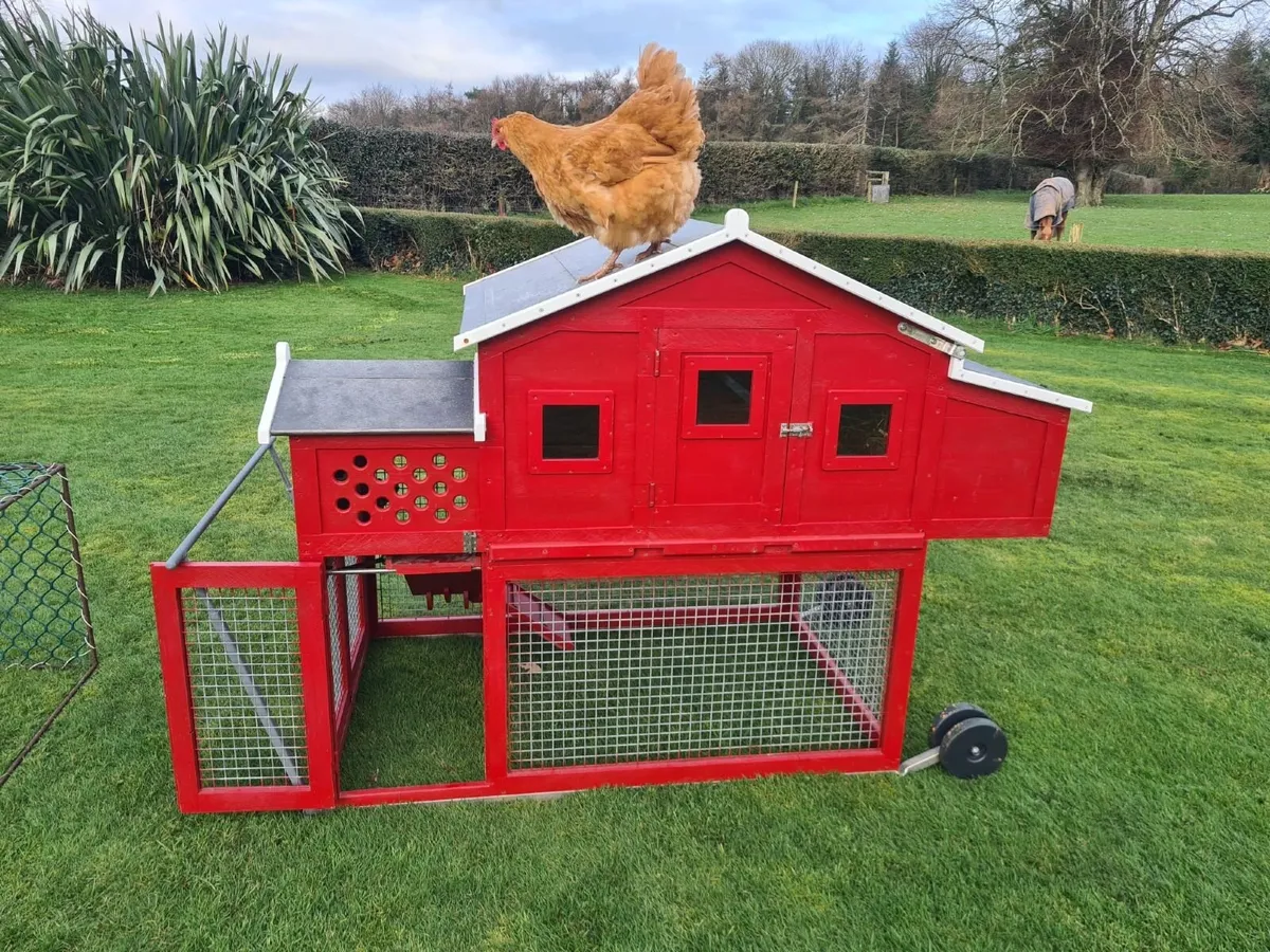 Chicken coop and run - Image 1