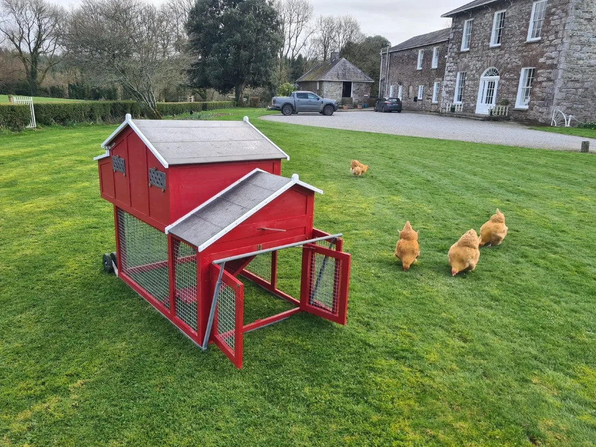 Chicken coop and run - Image 2