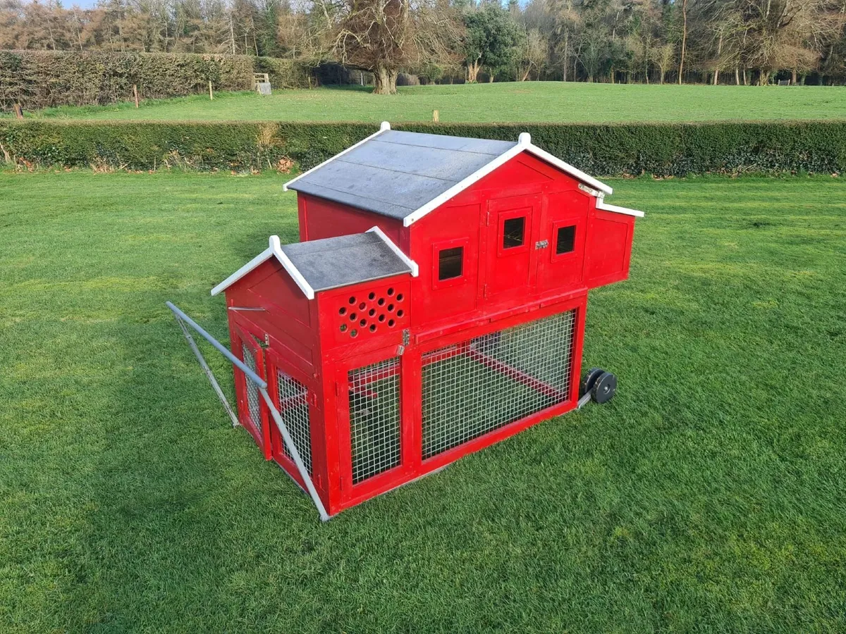 Chicken coop and run - Image 3