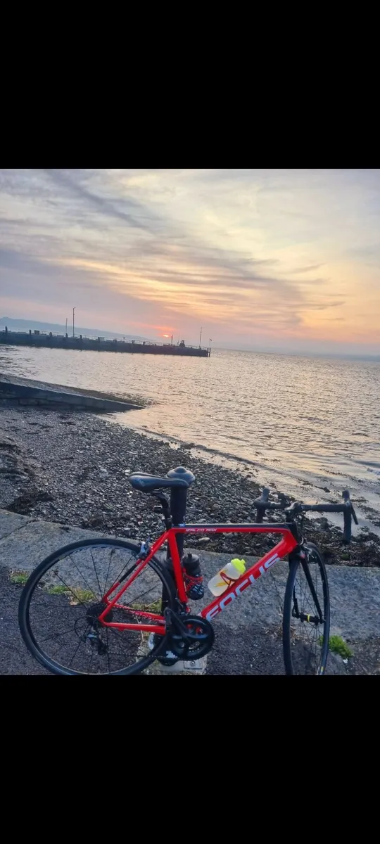 Focus Izalco max road bike - Image 2