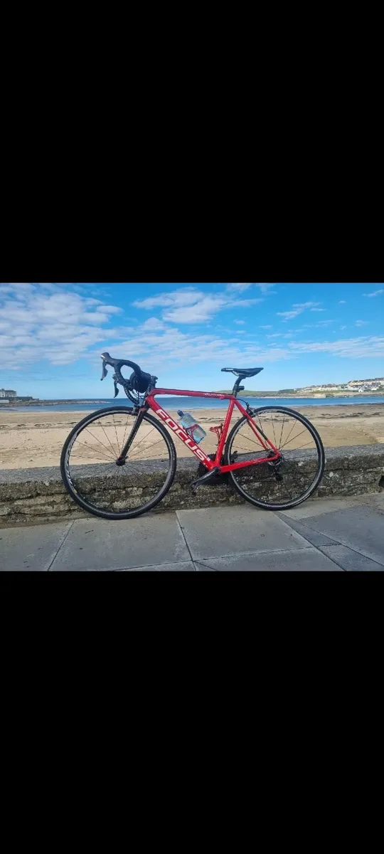 Focus Izalco max road bike - Image 3