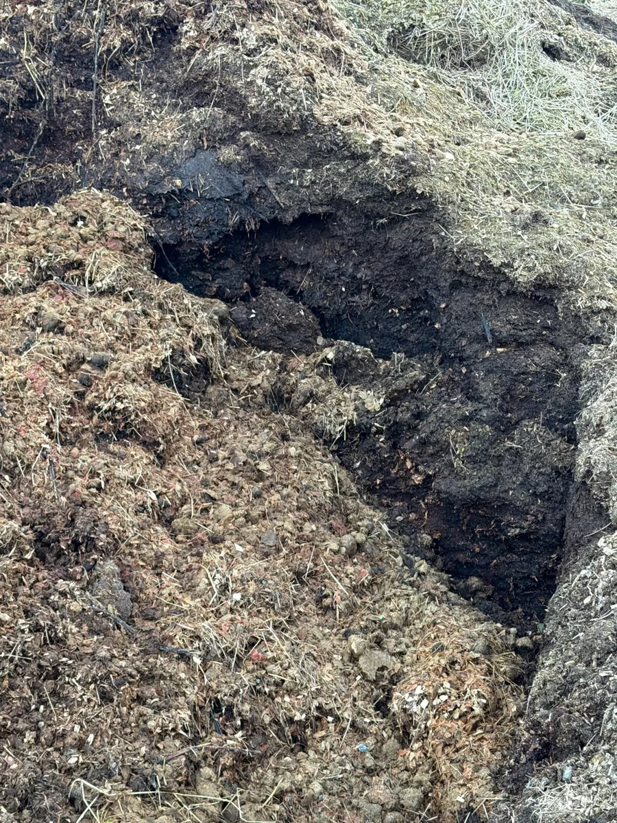 Well rotted horse manure