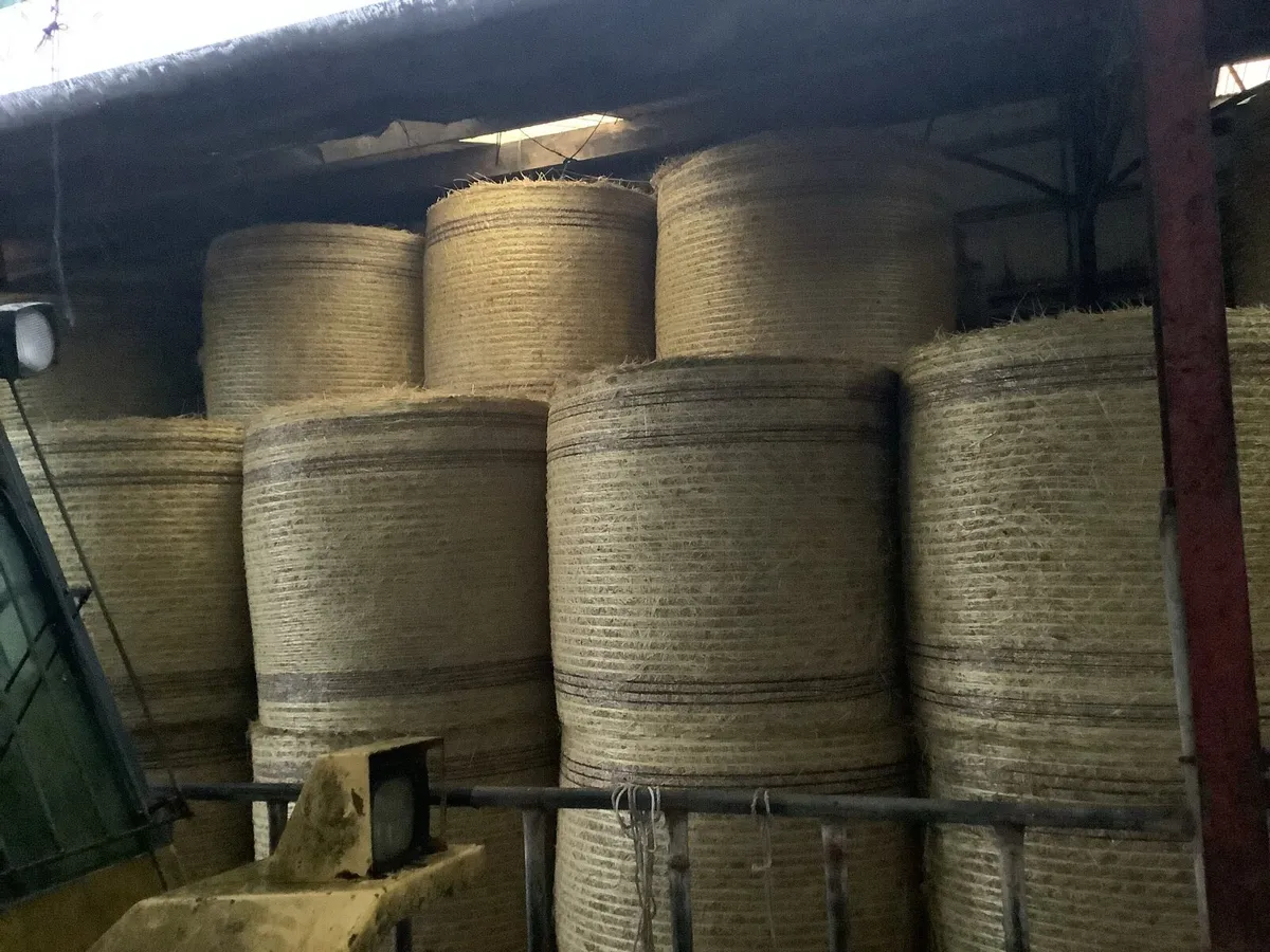 Hay for sale - Image 4