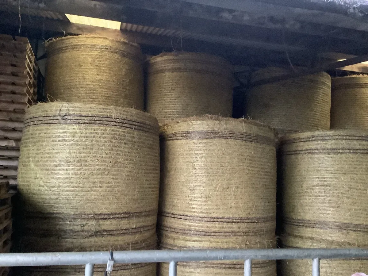 Hay for sale - Image 1