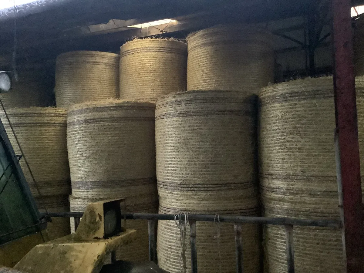 Hay for sale - Image 2