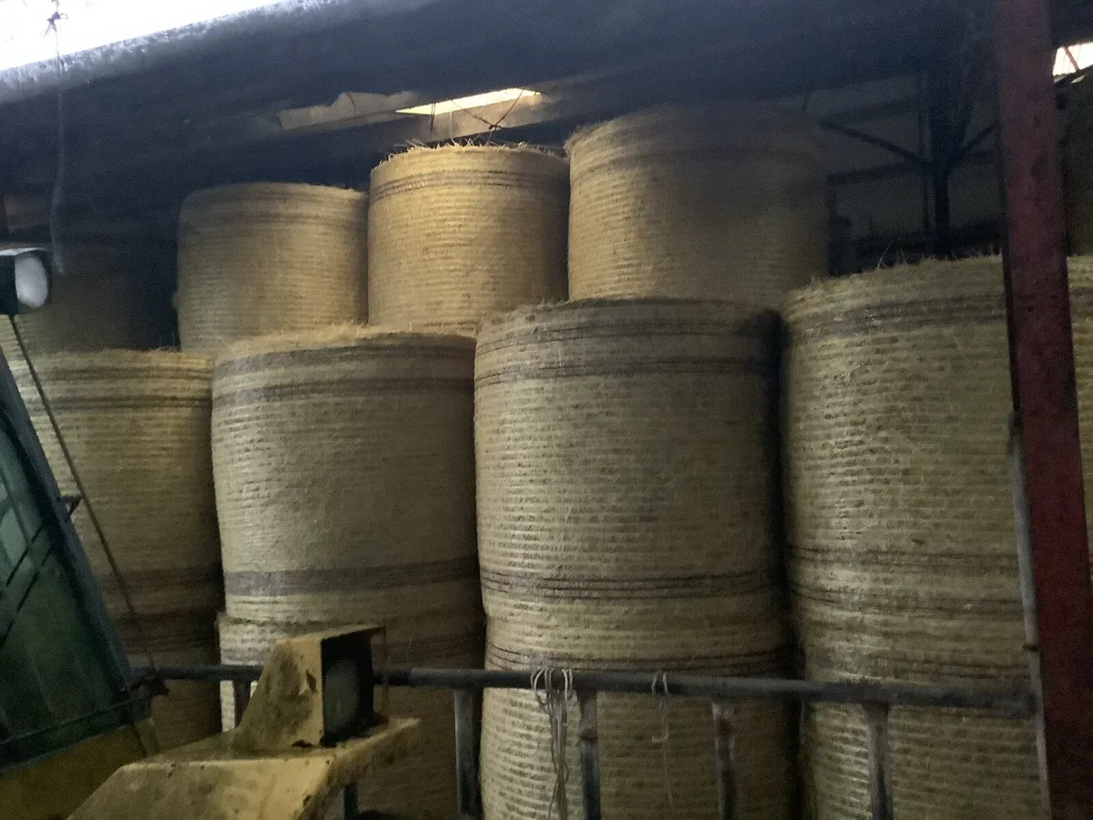 Hay for sale - Image 3