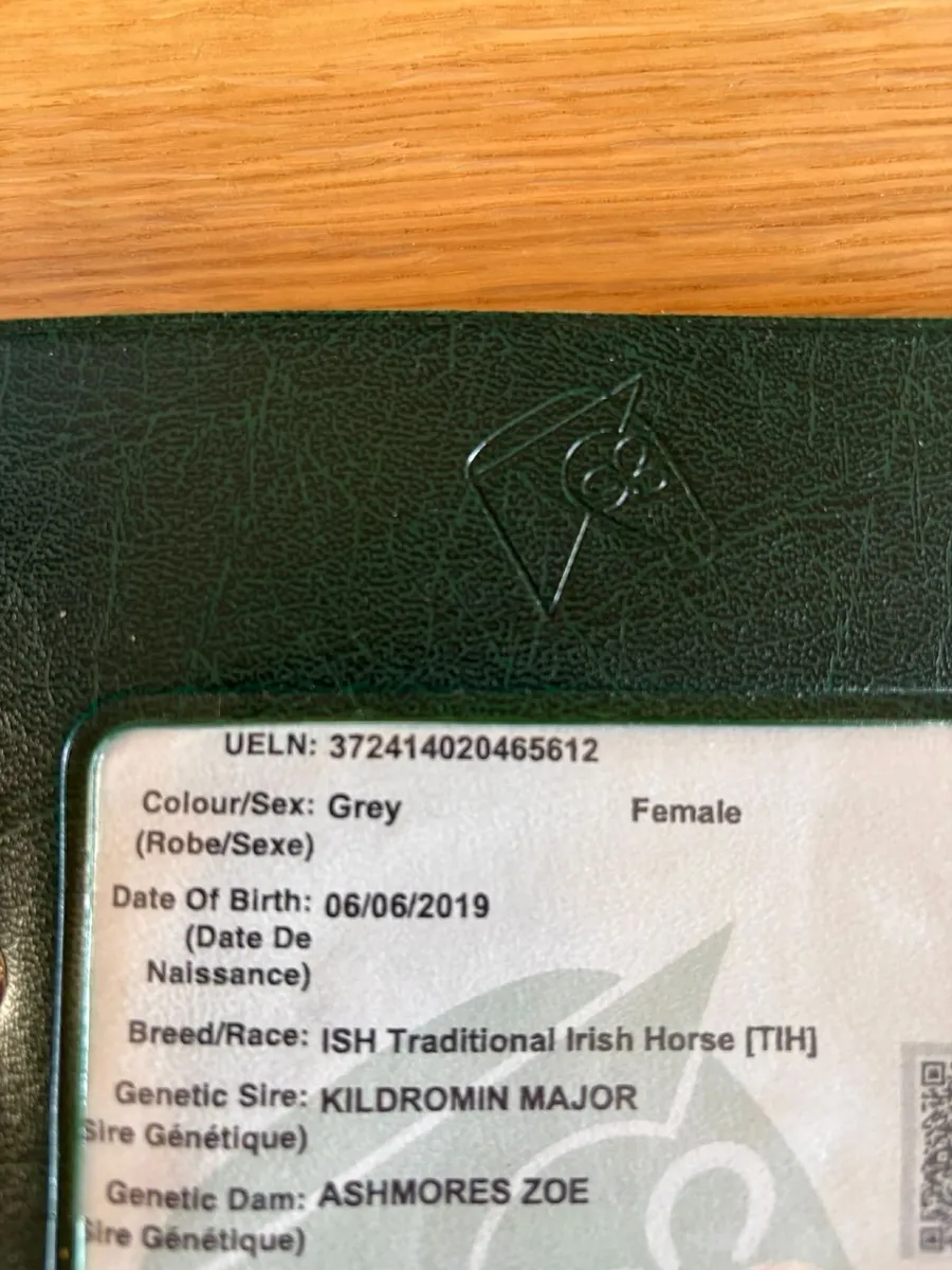 CP X ID Mare - Image 3