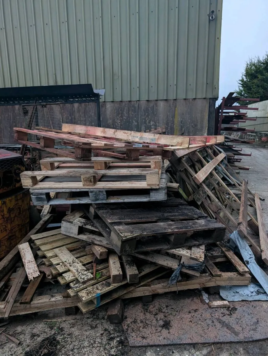 Timber firewood free to take away - Image 1