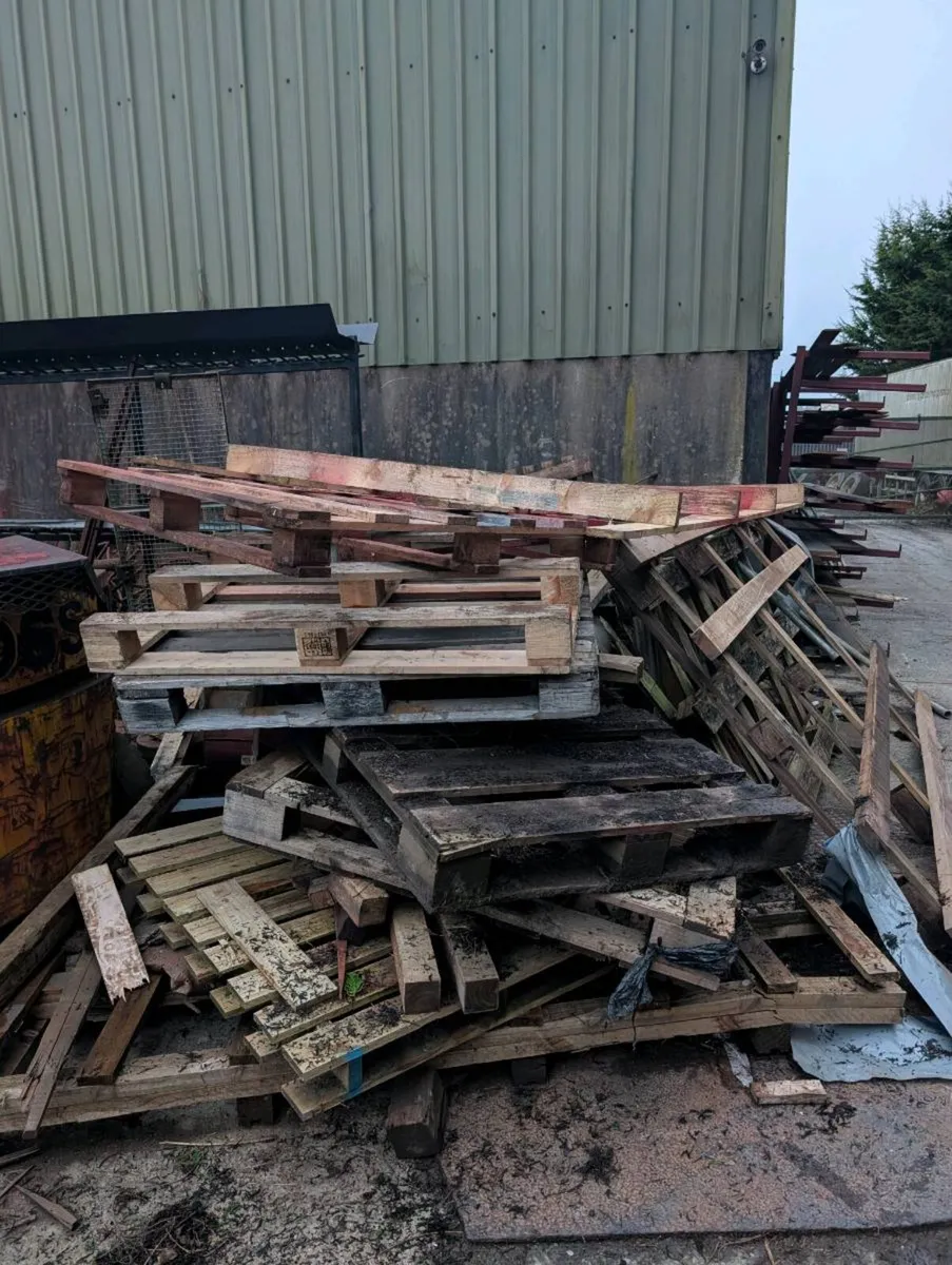 Timber firewood free to take away - Image 2