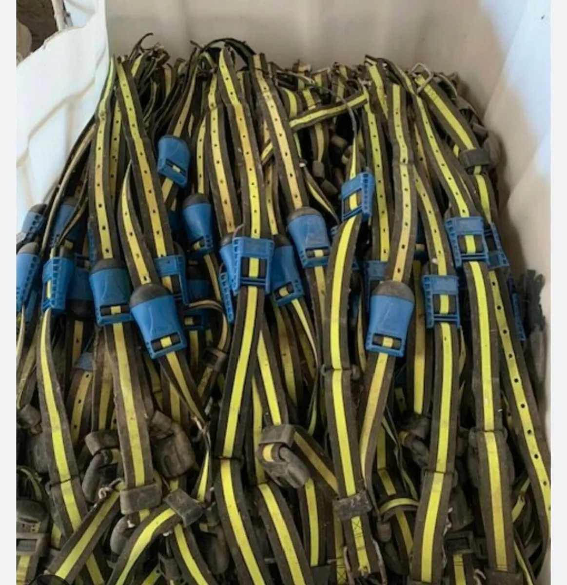 SenseHub system 130 collars - Image 4