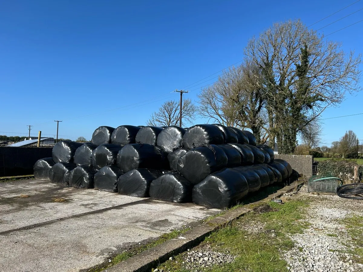 Silage bale's - Image 1