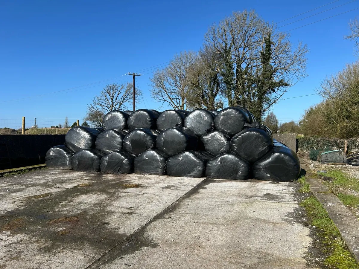 Silage bale's - Image 2