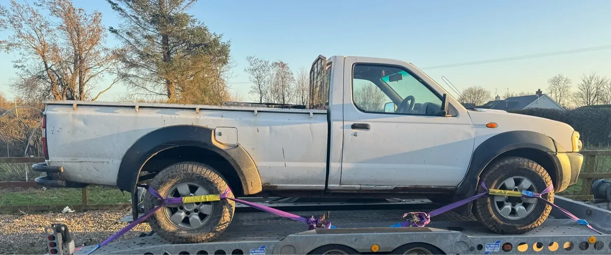 Nissan Navara - Image 2