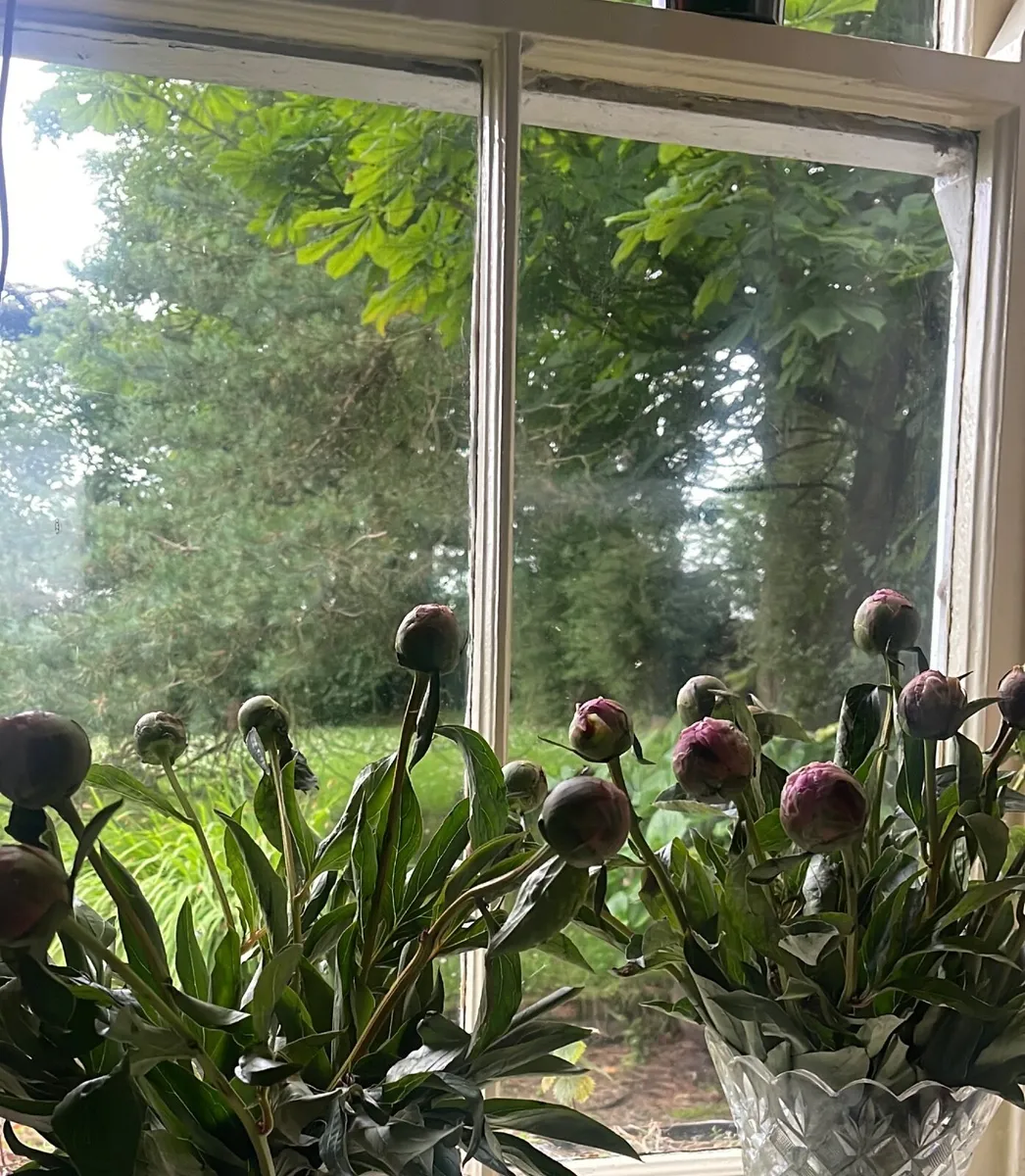 Humanist Celebrant Sharon BA  Dip - Image 3