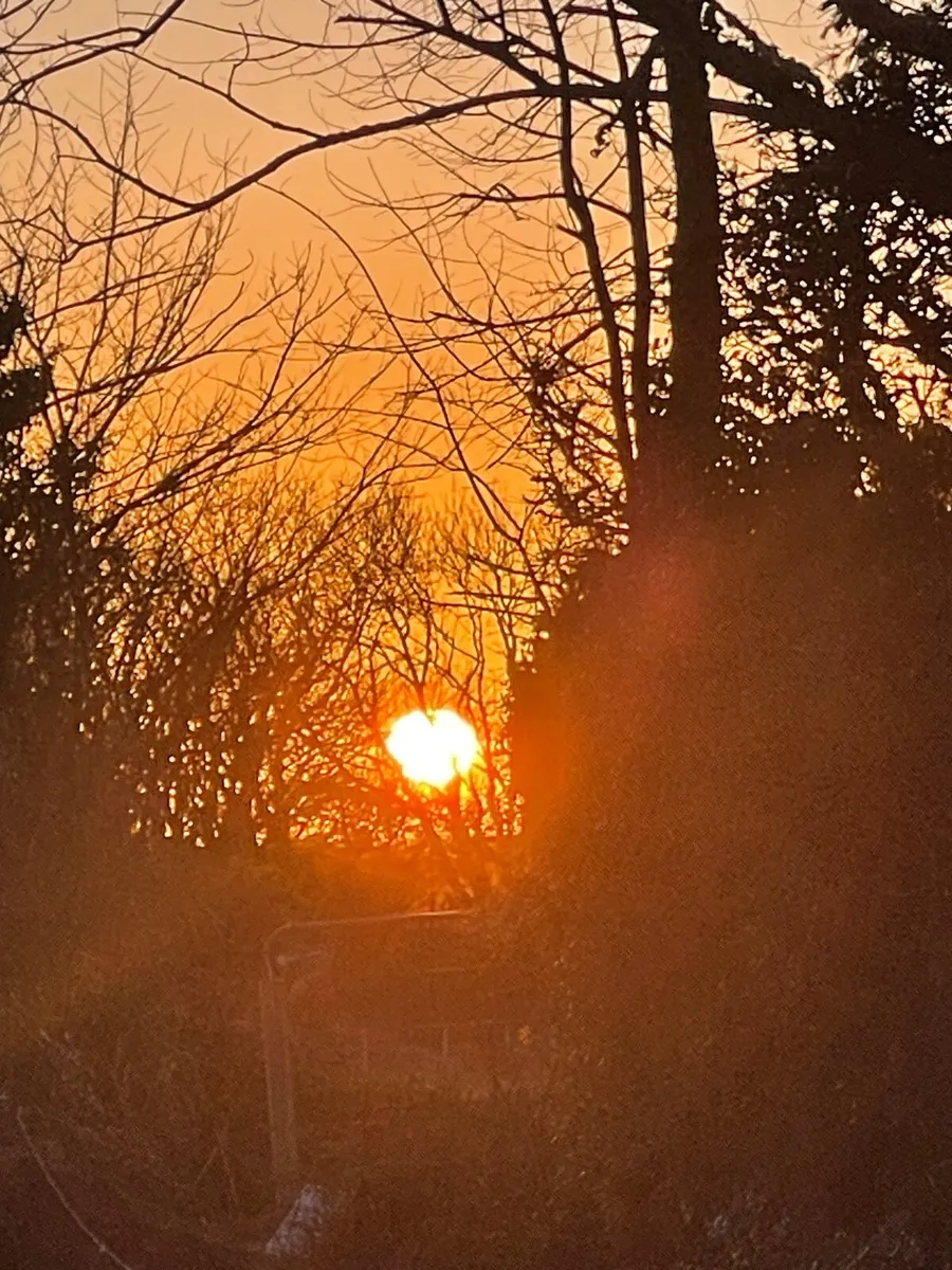 Humanist Celebrant Sharon BA  Dip - Image 4