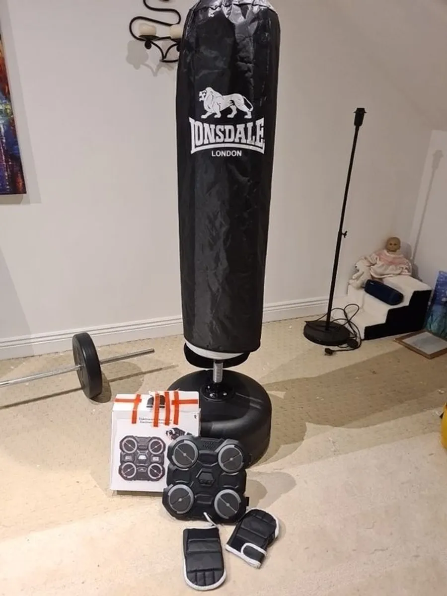 Free standing inflatable punch bag and electronic pad - Image 1