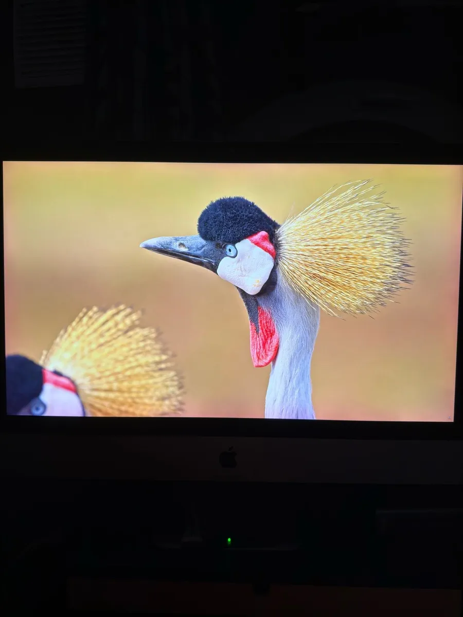 DIY 5k Apple monitor - Image 3