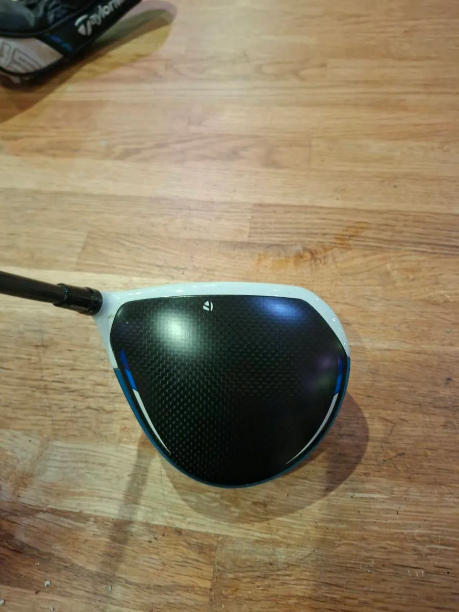 Sim 2 Max D driver - Image 2