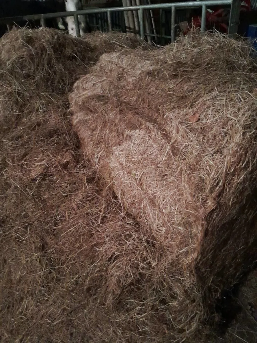 Haylage and silage - Image 2