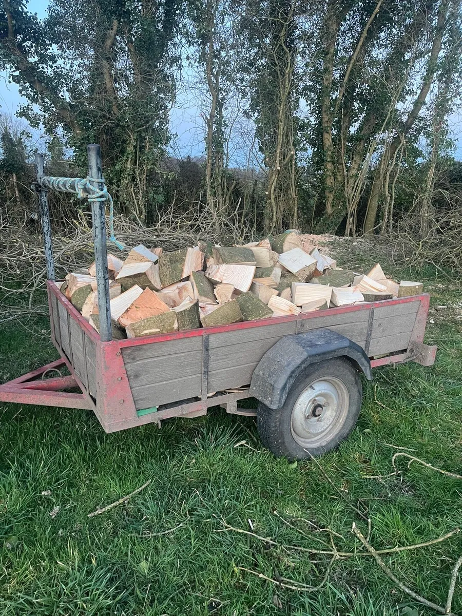 Firewood - Image 1