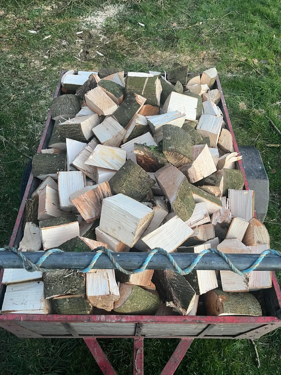 Firewood - Image 3