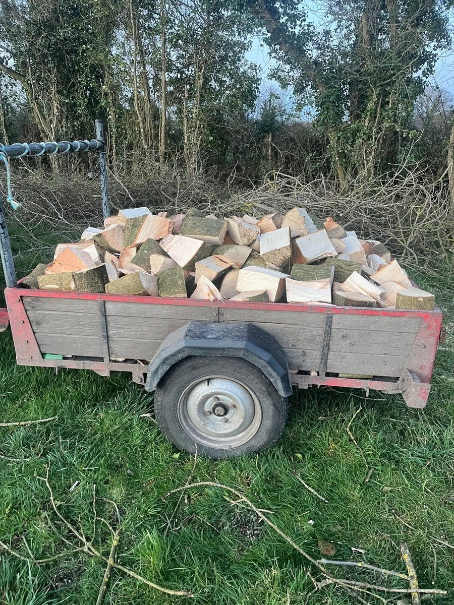 Firewood - Image 2