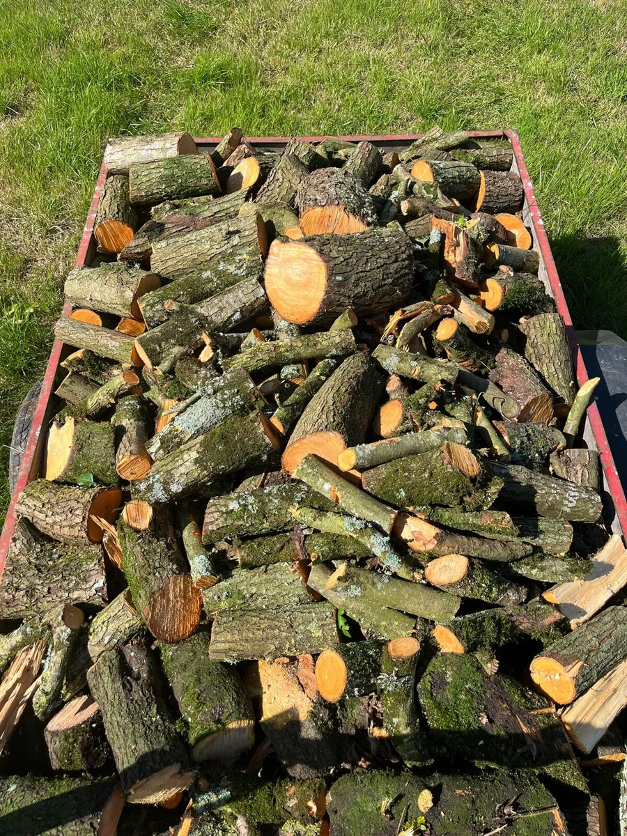 Firewood - Image 4