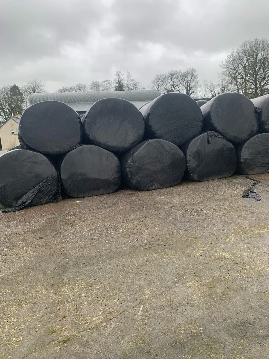 Silage bales