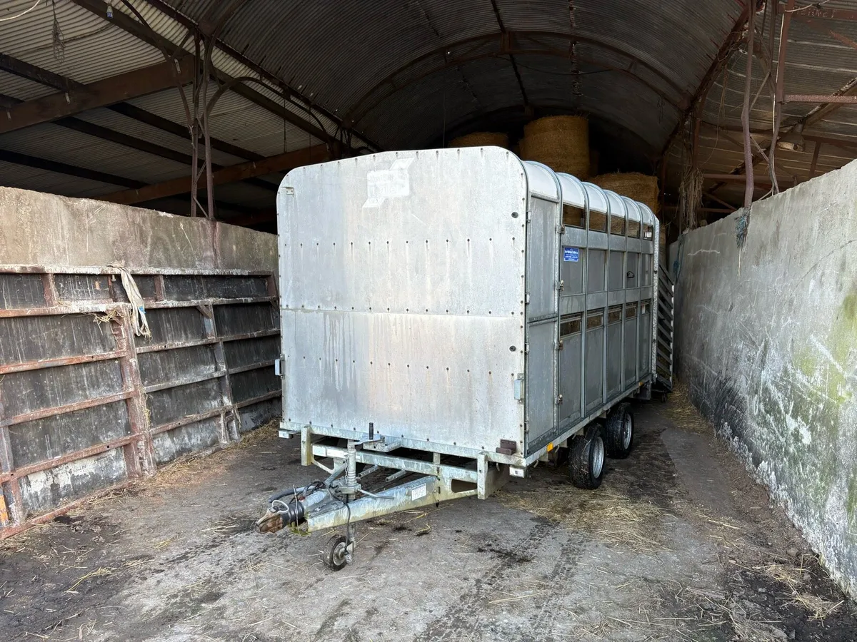 Ifor Williams 12 ft cattle trailer - Image 1