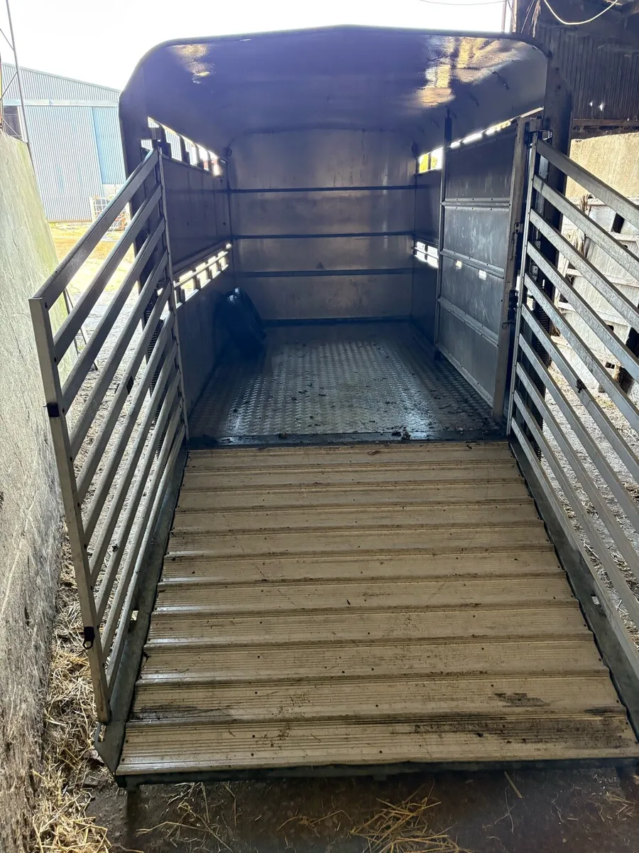 Ifor Williams 12 ft cattle trailer - Image 4