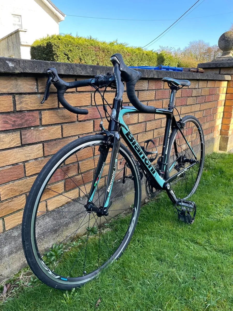 Bianchi Sempre Pro Carbon Road Bike - Image 2