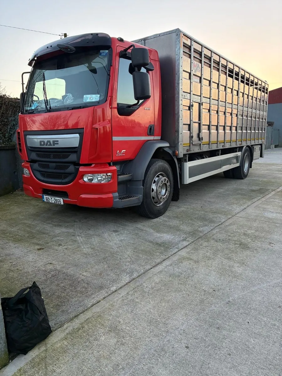 Fresh Calves Due Wednesday @ 7:30pm - Image 1