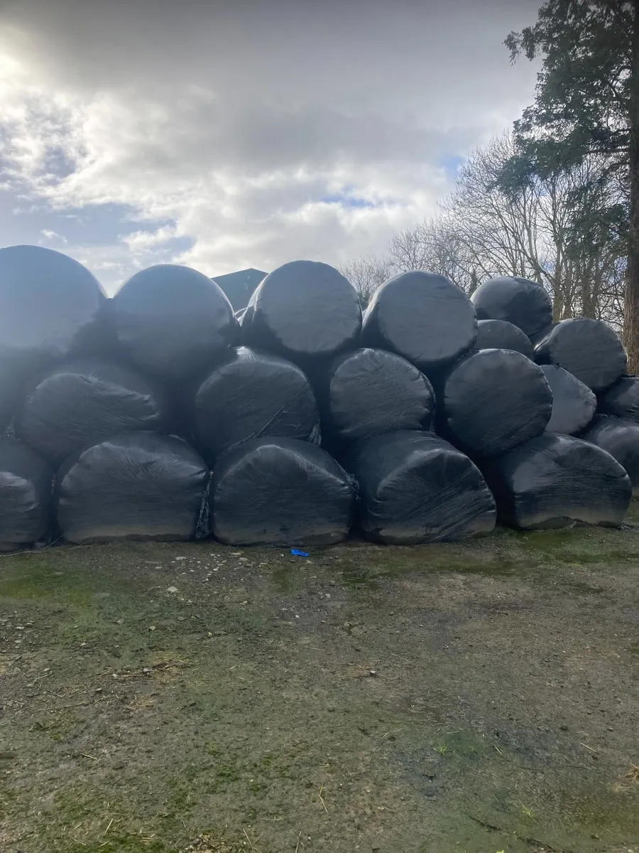 Silage Bales