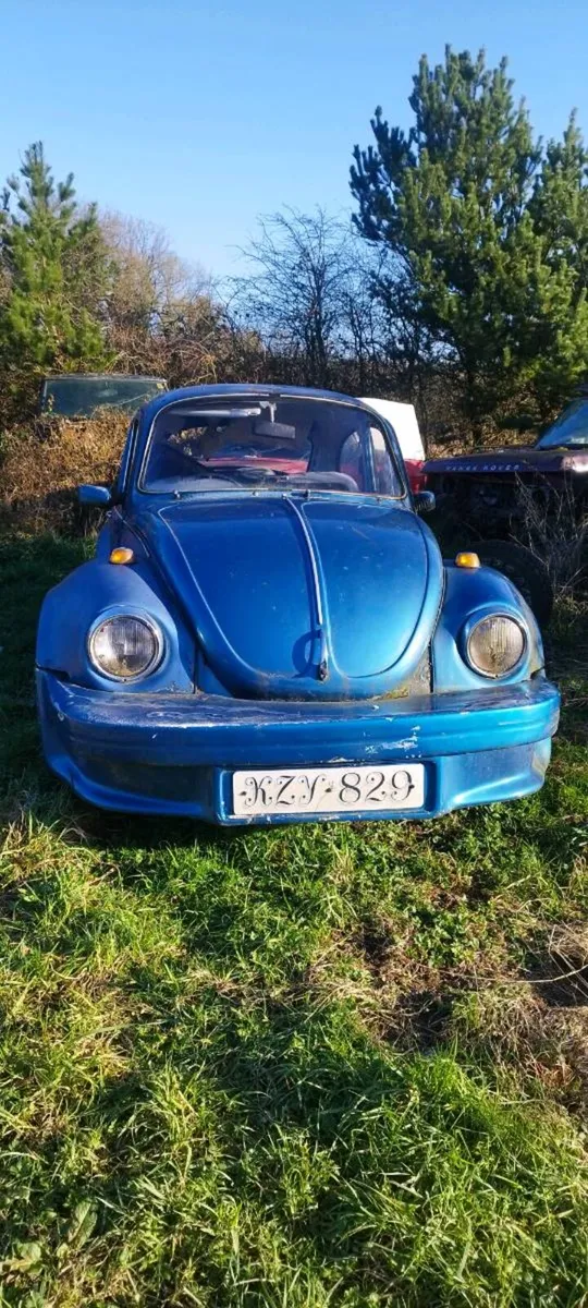 VW beetle - Image 1