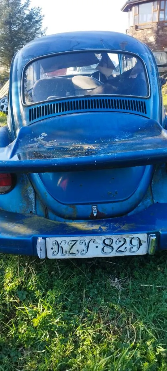 VW beetle - Image 3
