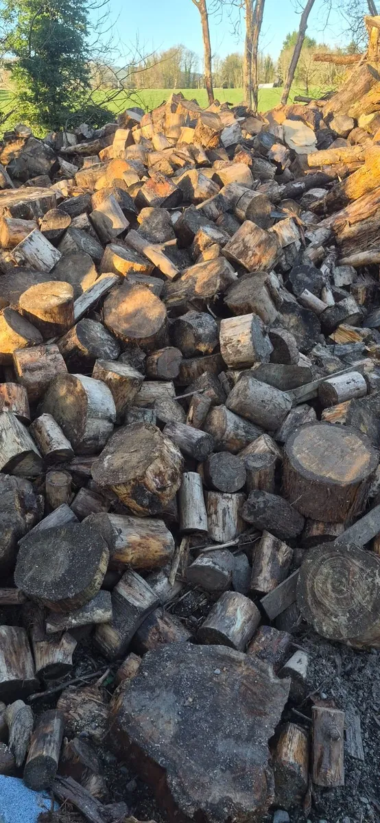 Timber for sale - Image 1