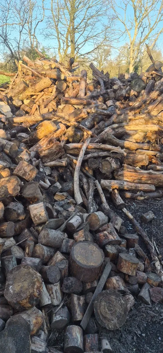 Timber for sale - Image 2