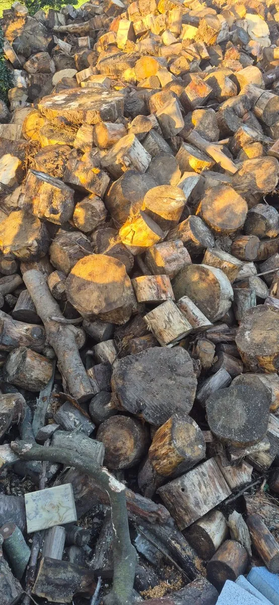 Timber for sale - Image 4