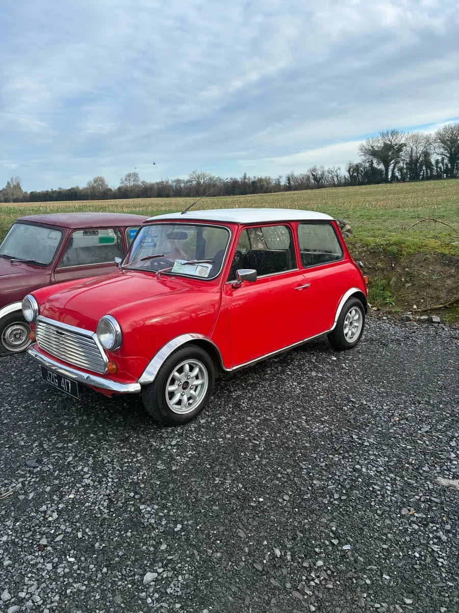 1983 Mini - Image 2