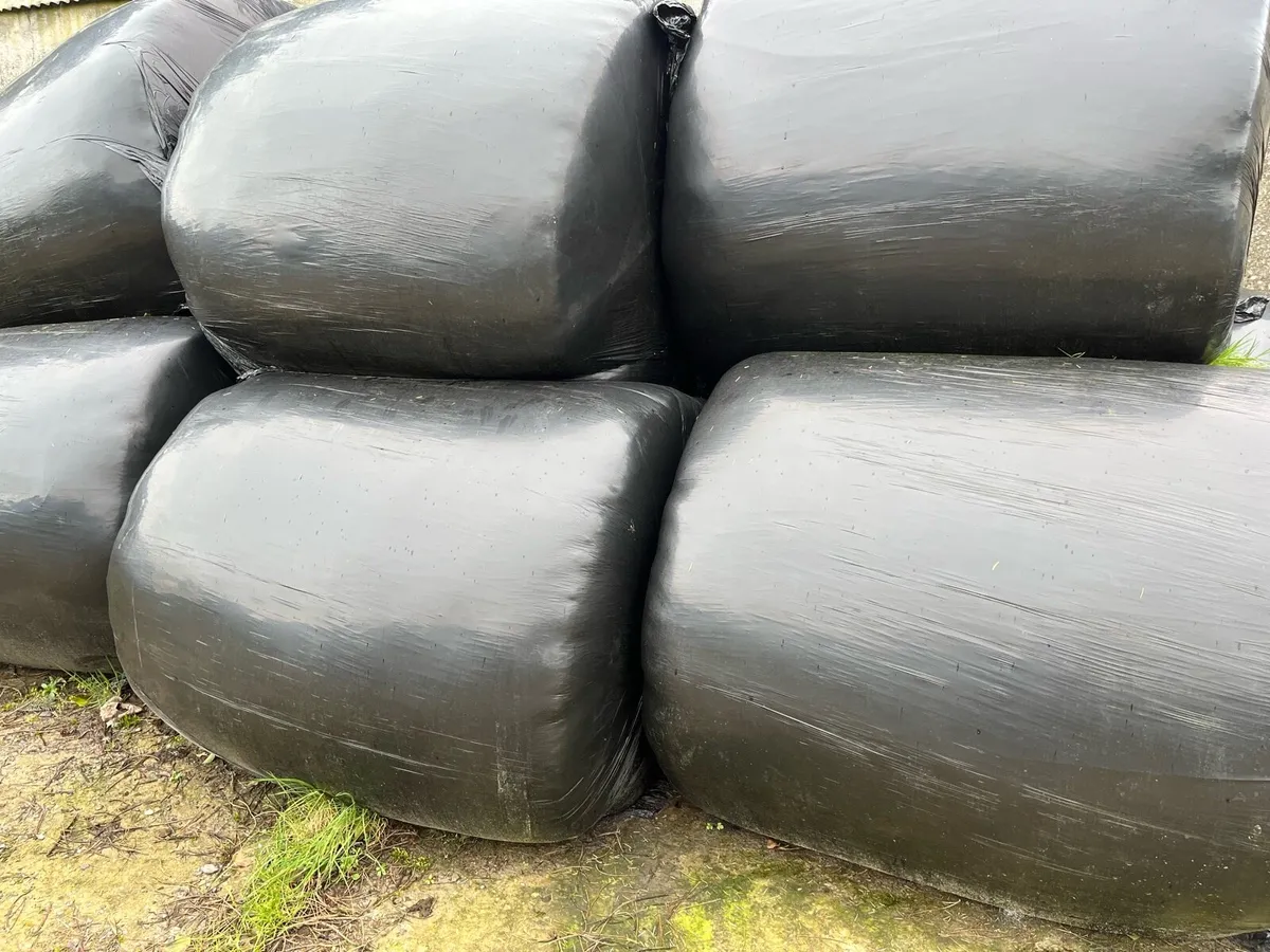 Silage bales - Image 2