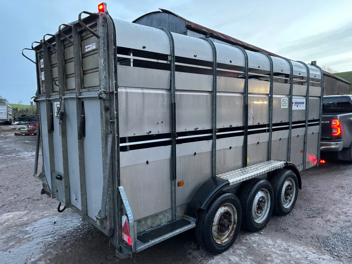 Indespension 14ft x 6ft Tri axle cattle trailer - Image 4