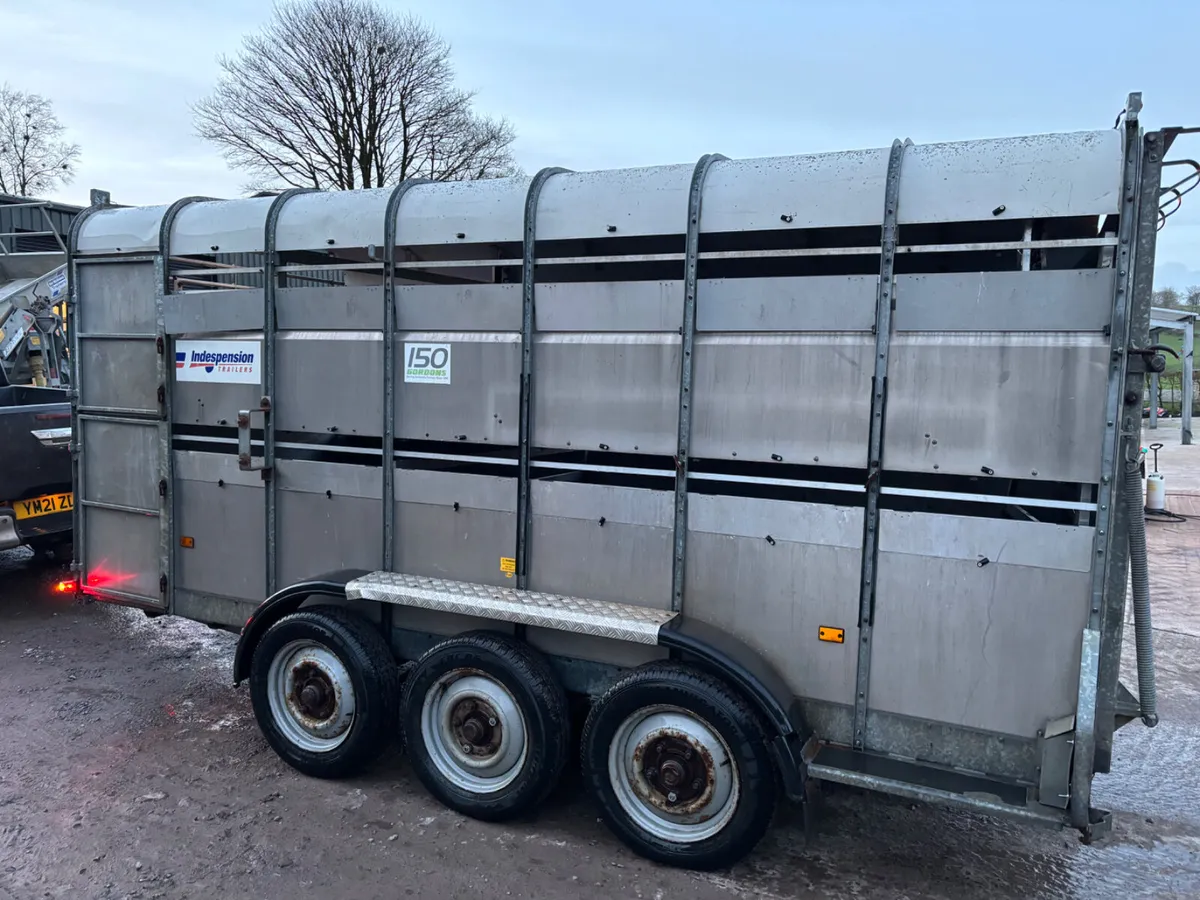Indespension 14ft x 6ft Tri axle cattle trailer - Image 2