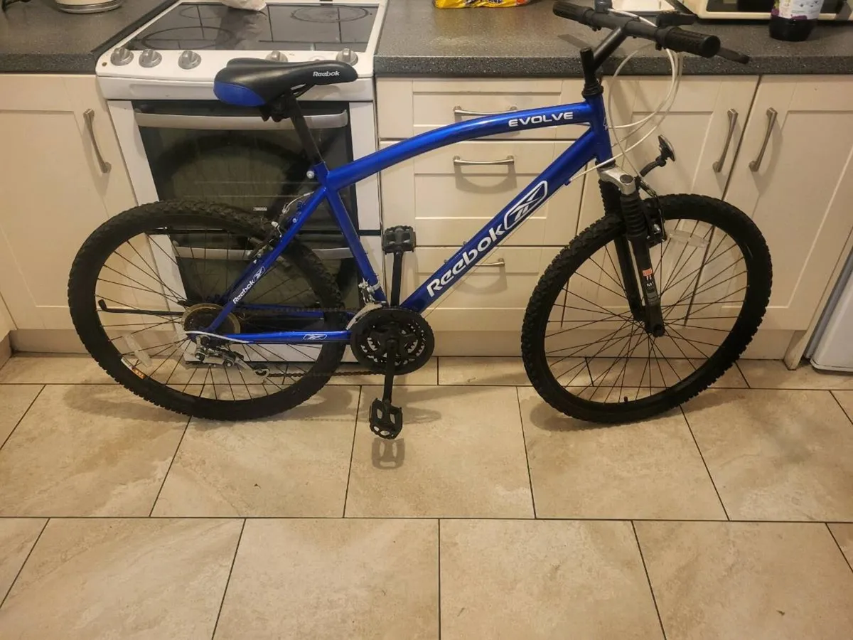 Mens Mountain bike - Image 1