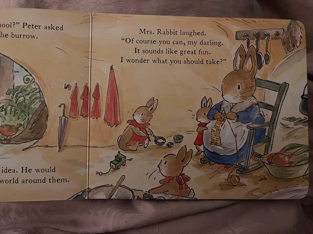 Peter rabbit - Image 3
