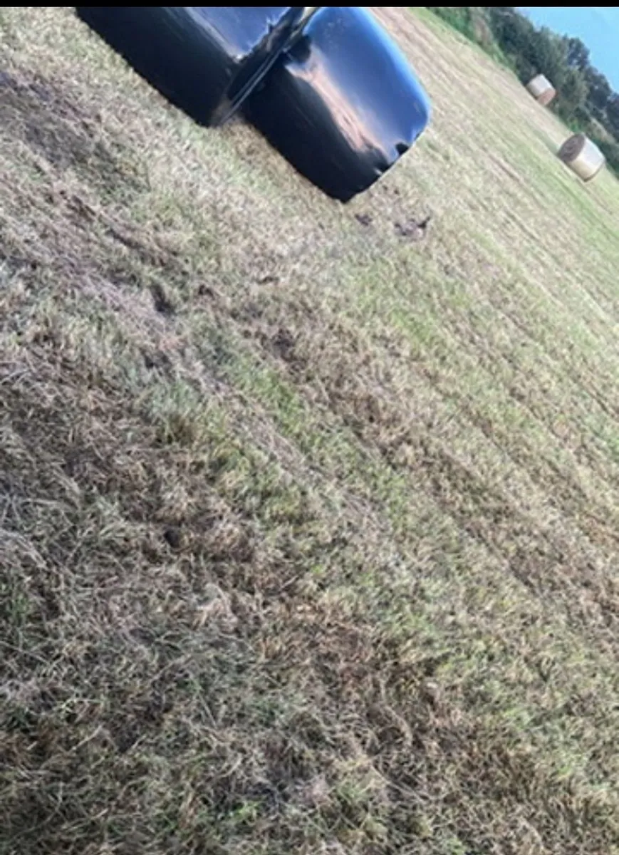 100 Top quality 2025 silage bales - Image 2