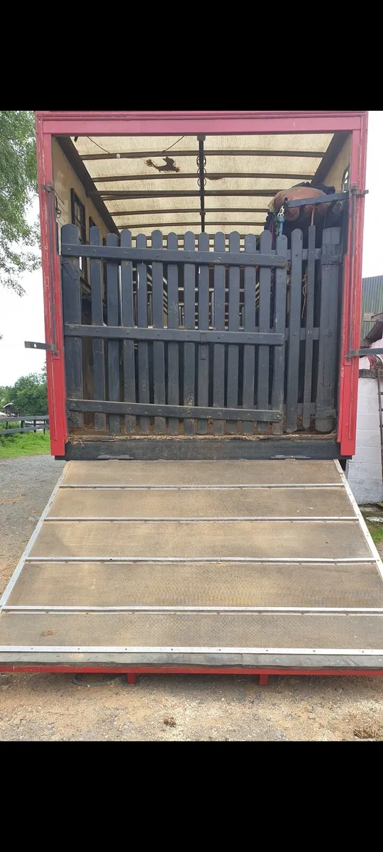 2010 Horse Lorry - Image 3